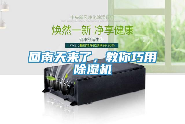 回南天来了，教你巧用91免费网站在线观看