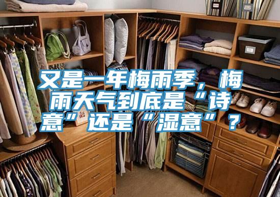 又是一年梅雨季，梅雨天气到底是“诗意”还是“湿意”？
