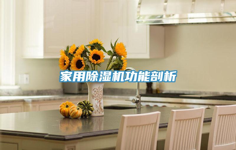 家用91免费网站在线观看功能剖析
