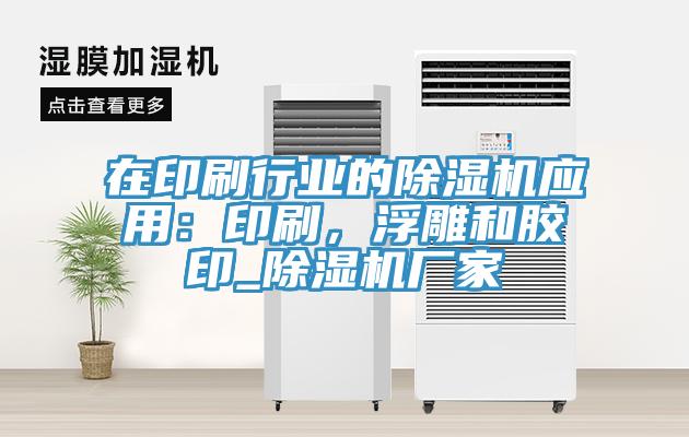 在印刷行业的91免费网站在线观看应用：印刷，浮雕和胶印_91免费网站在线观看厂家