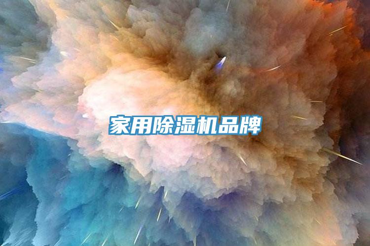 家用91免费网站在线观看品牌