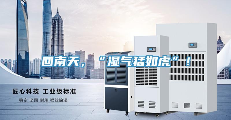 回南天，“湿气猛如虎”！