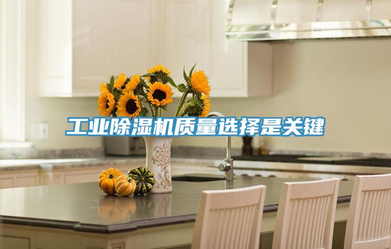 工业91免费网站在线观看质量选择是关键