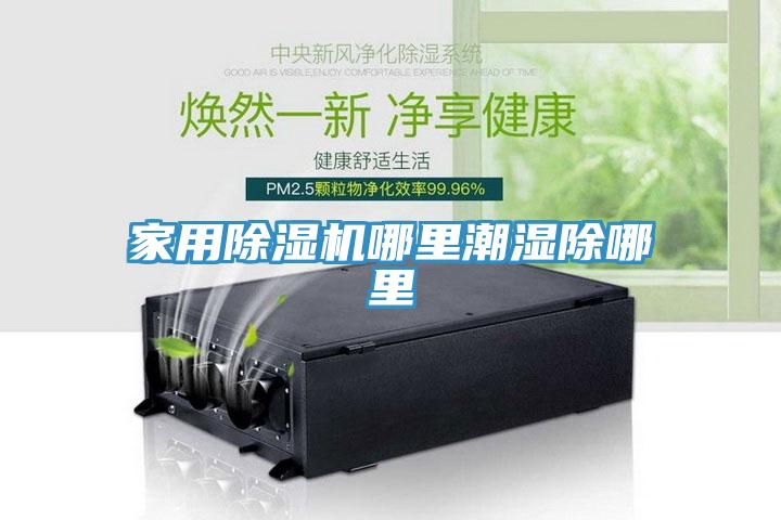 家用91免费网站在线观看哪里潮湿除哪里