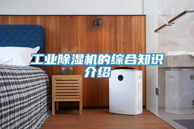 工业91免费网站在线观看的综合知识介绍