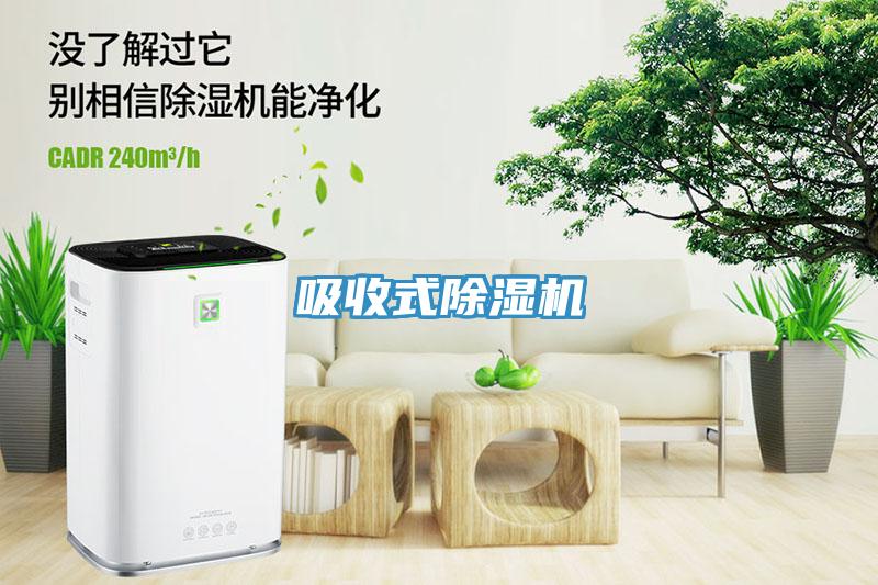 吸收式91免费网站在线观看