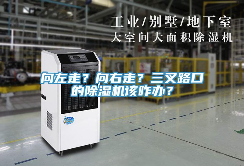 向左走？向右走？三叉路口的91免费网站在线观看该咋办？