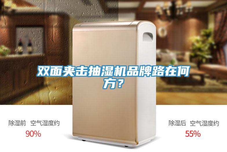 双面夹击抽湿机品牌路在何方？