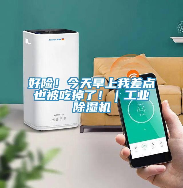 好险！今天早上我差点也被吃掉了！｜工业91免费网站在线观看