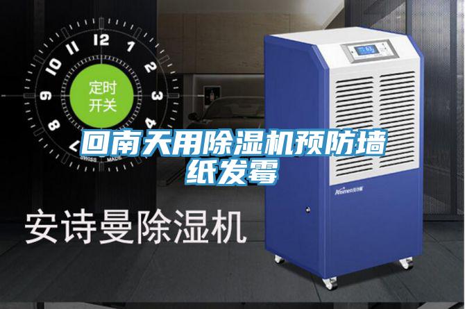 回南天用91免费网站在线观看预防墙纸发霉