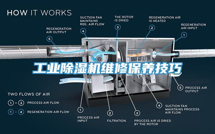 工业91免费网站在线观看维修保养技巧