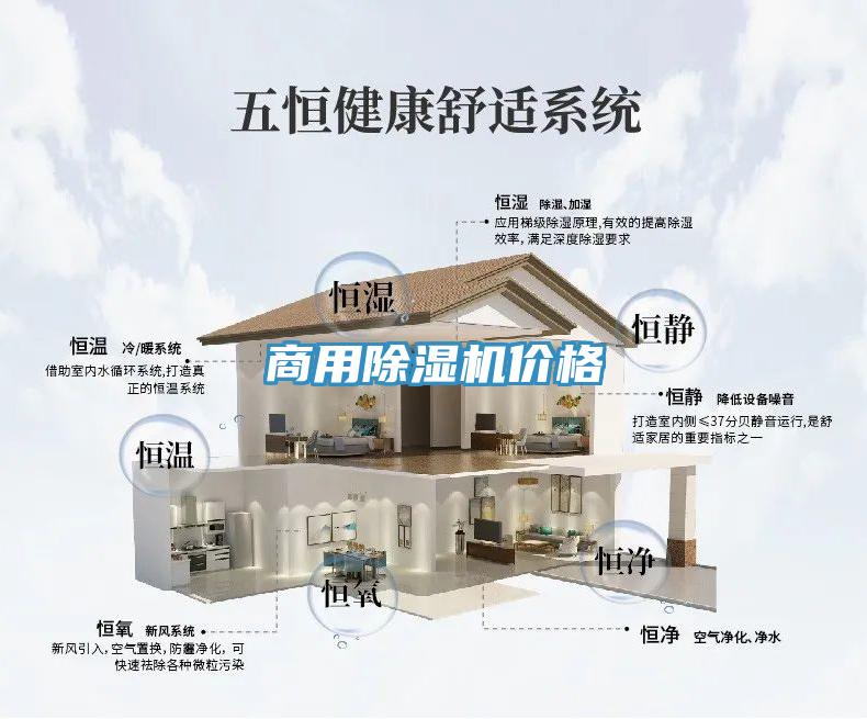 商用91免费网站在线观看价格