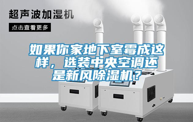 如果你家地下室霉成这样，选装中央空调还是新风91免费网站在线观看？