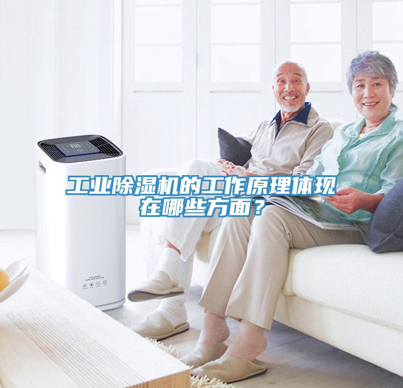 工业91免费网站在线观看的工作原理体现在哪些方面？