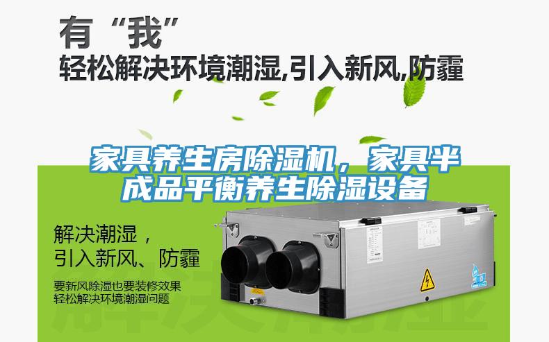 家具养生房91免费网站在线观看，家具半成品平衡养生除湿设备