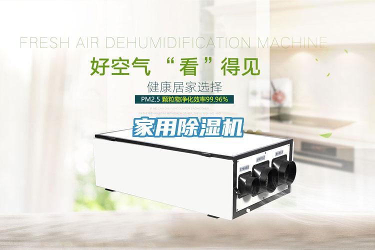 家用91免费网站在线观看