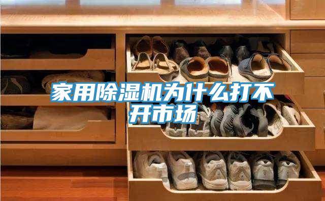 家用91免费网站在线观看为什么打不开市场