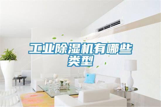 工业91免费网站在线观看有哪些类型