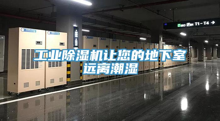 工业91免费网站在线观看让您的地下室远离潮湿