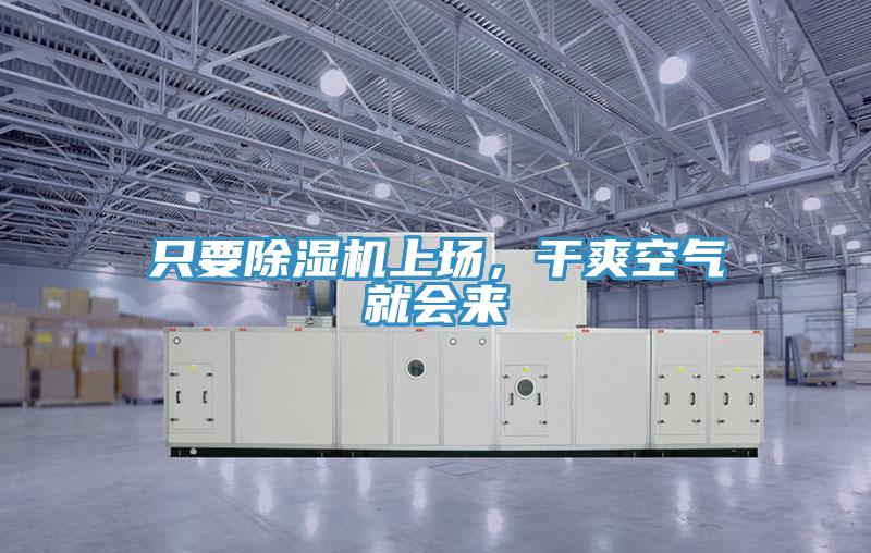 只要91免费网站在线观看上场，干爽空气就会来