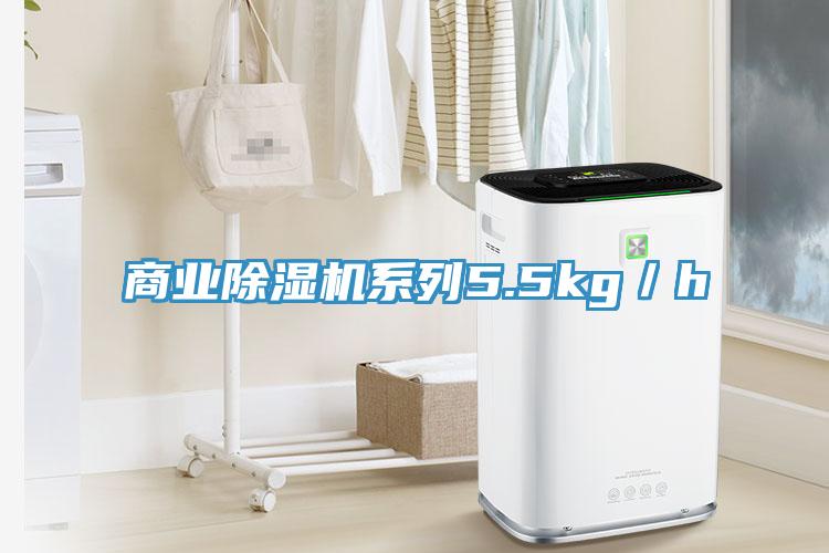 商业91免费网站在线观看系列5.5kg／h