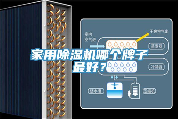 家用91免费网站在线观看哪个牌子最好？