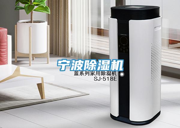 宁波91免费网站在线观看