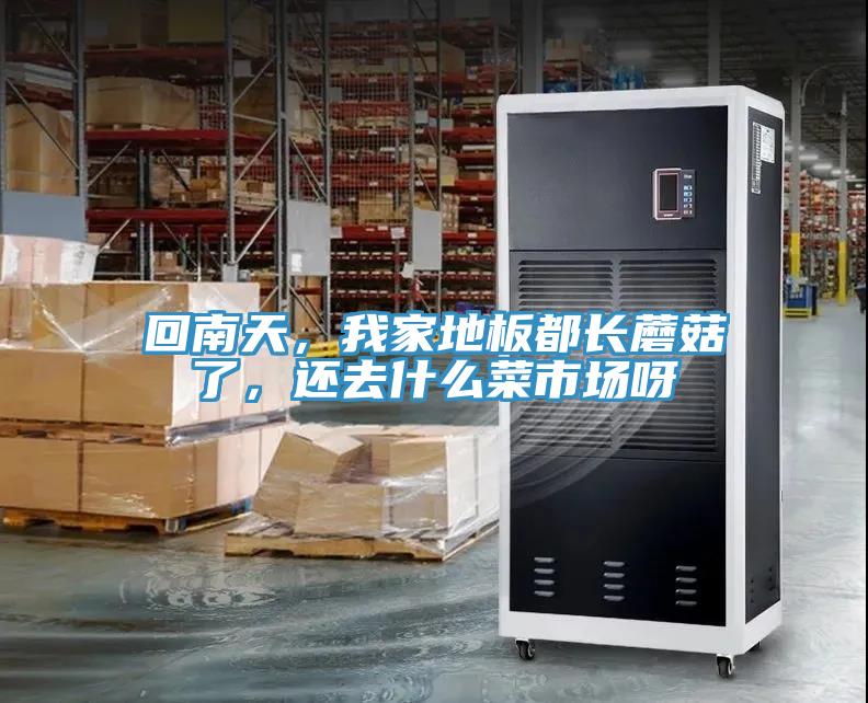 回南天，我家地板都长蘑菇了，还去什么菜市场呀