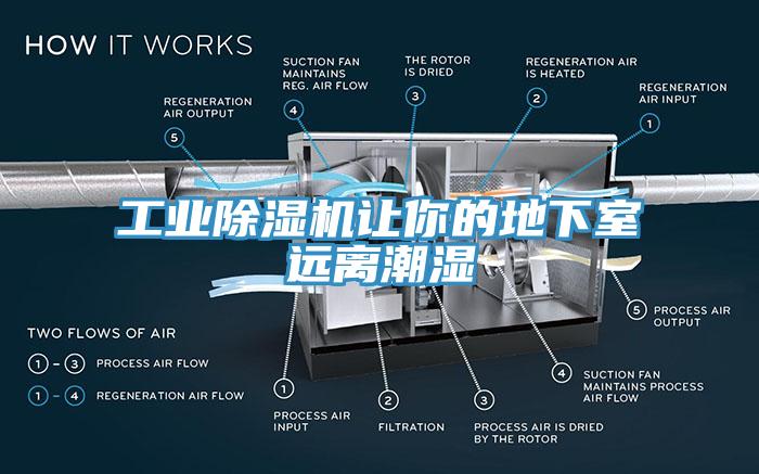 工业91免费网站在线观看让你的地下室远离潮湿