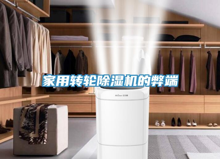 家用转轮91免费网站在线观看的弊端