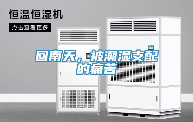 回南天，被潮湿支配的痛苦
