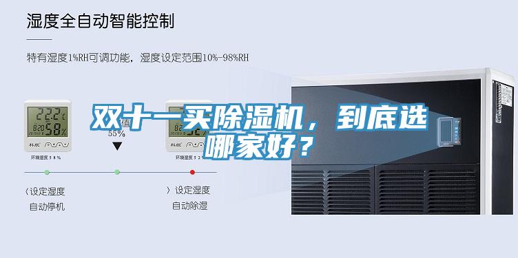 双十一买91免费网站在线观看，到底选哪家好？