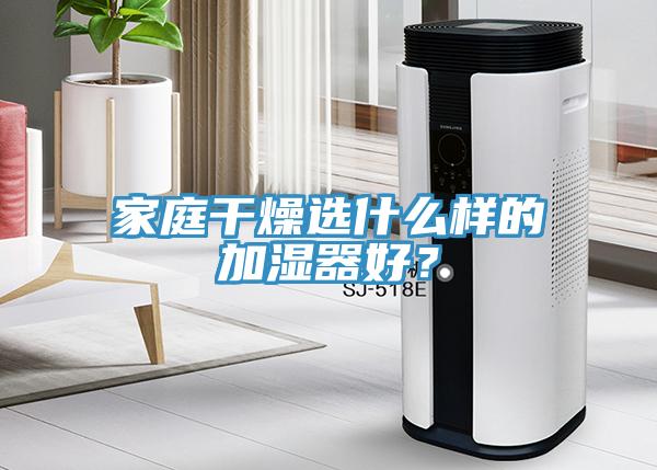 家庭干燥选什么样的加湿器好？