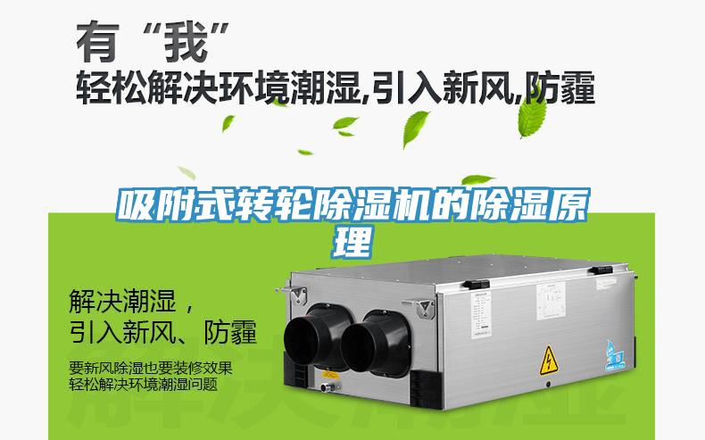 吸附式转轮91免费网站在线观看的除湿原理