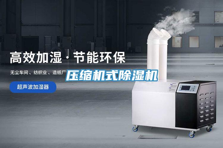 压缩机式91免费网站在线观看