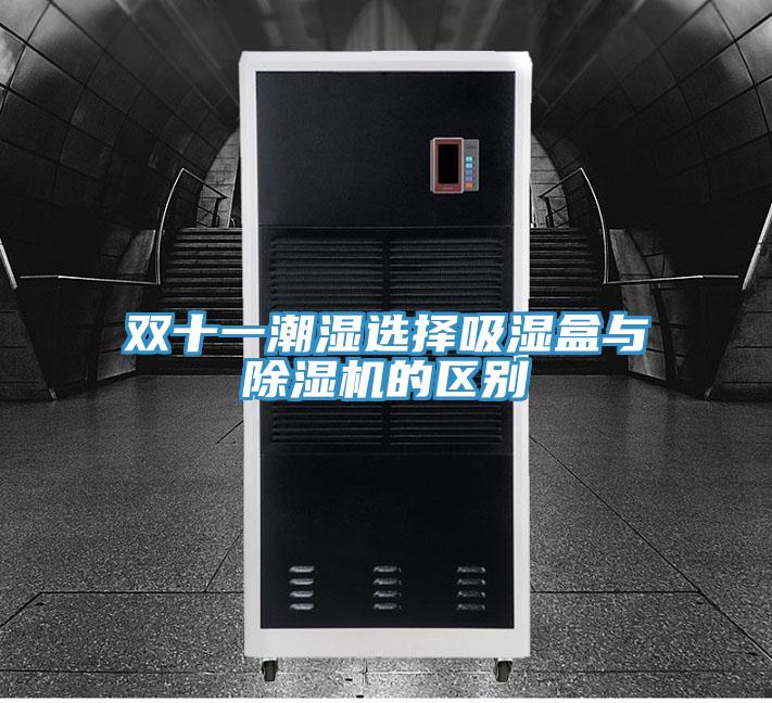双十一潮湿选择吸湿盒与91免费网站在线观看的区别