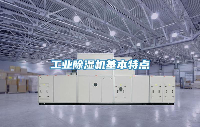工业91免费网站在线观看基本特点