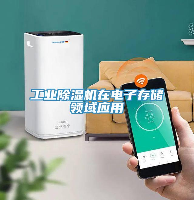 工业91免费网站在线观看在电子存储领域应用