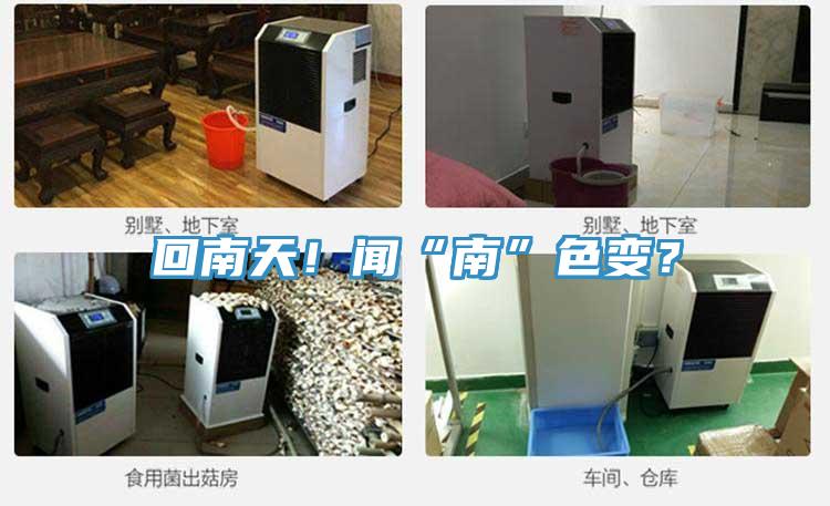 回南天！闻“南”色变？