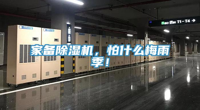 家备91免费网站在线观看，怕什么梅雨季！