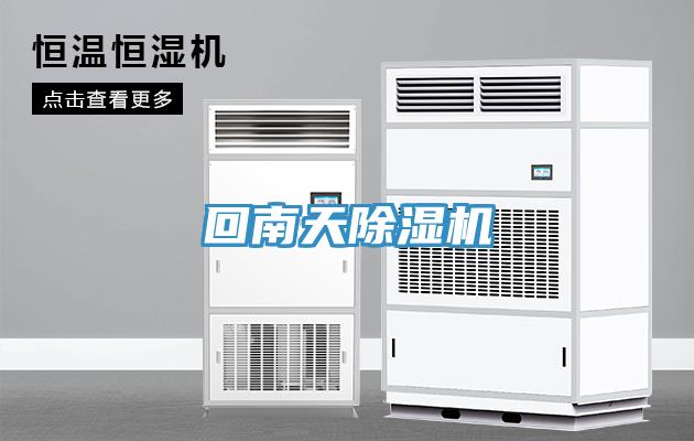 回南天91免费网站在线观看