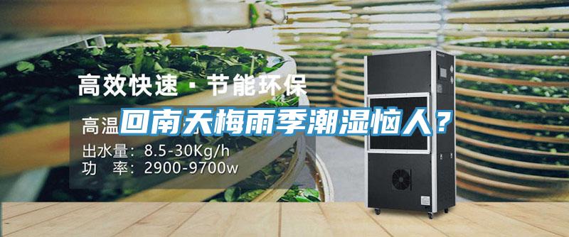 回南天梅雨季潮湿恼人？