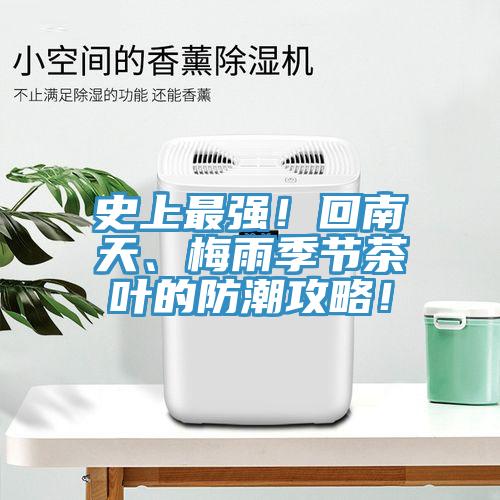 史上最强！回南天、梅雨季节茶叶的防潮攻略！