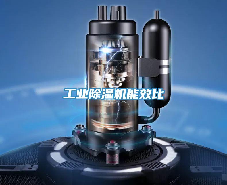 工业91免费网站在线观看能效比