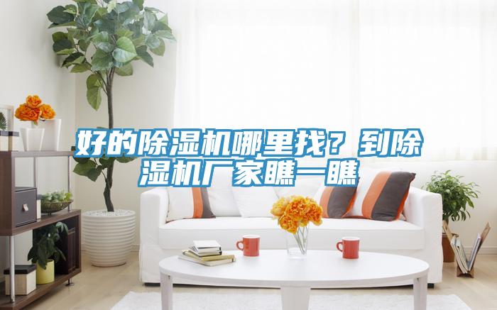 好的91免费网站在线观看哪里找？到91免费网站在线观看厂家瞧一瞧