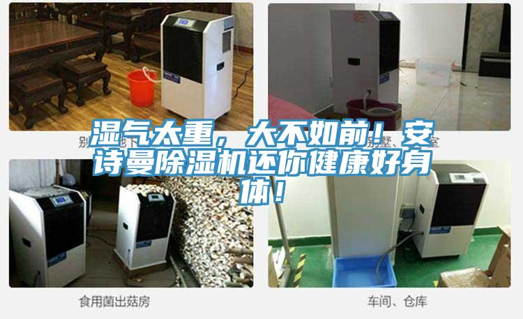 湿气太重，大不如前！91免费看黄片91免费网站在线观看还你健康好身体！