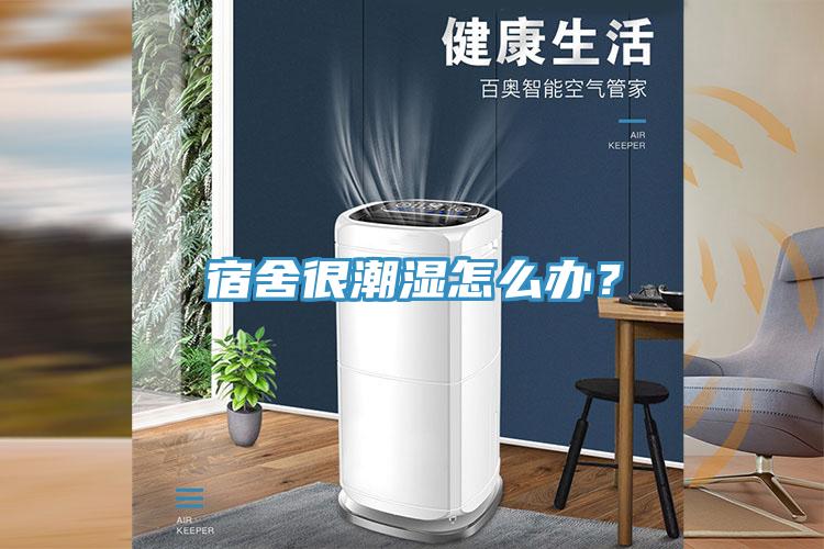 宿舍很潮湿怎么办？