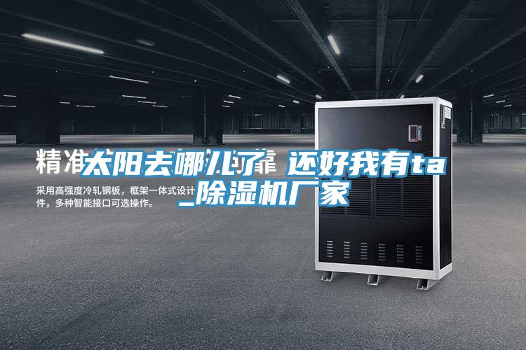 太阳去哪儿了 还好我有ta_91免费网站在线观看厂家