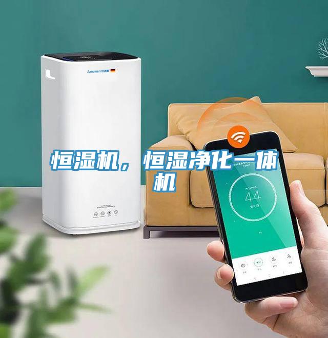 恒湿机，恒湿净化一体机