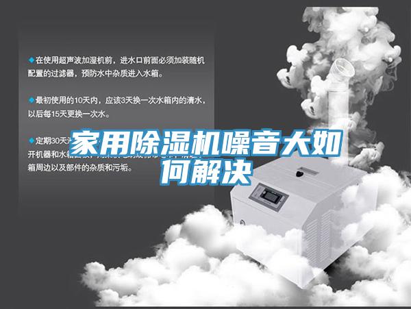 家用91免费网站在线观看噪音大如何解决
